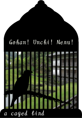 cagedbird.jpg